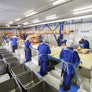 BluMat - Unique Mat Design For Food Processing
