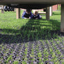 GrassMat - Environmentally Friendly Non-slip External Surfacing System