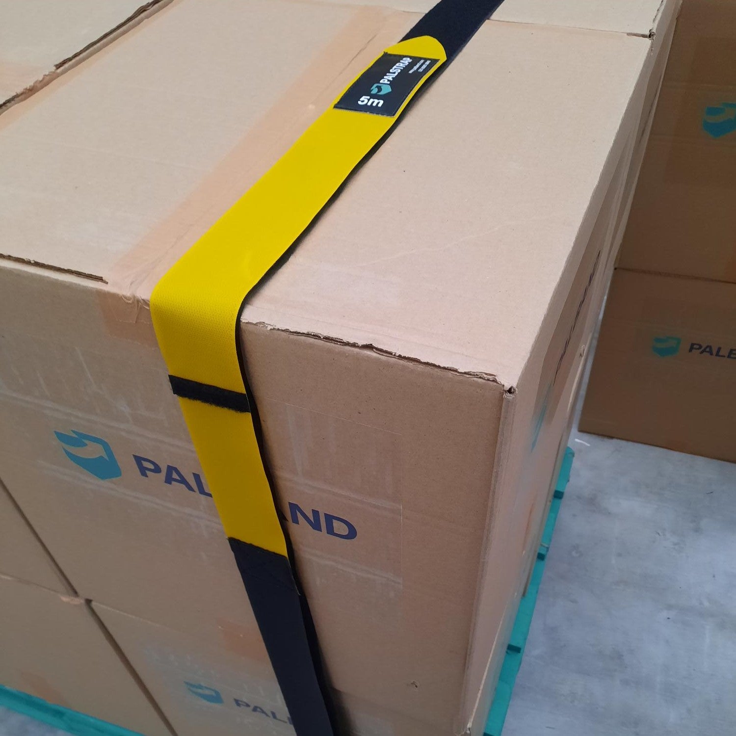 PalBand Palstrap - Hook and Loop Load Restraint Strap