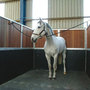 Lanmat StableMat - equestrian comfort and safety